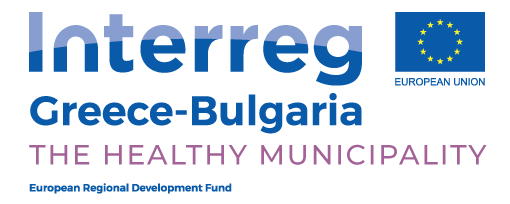 The Healthy Municipality Project Logo